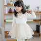 White Net Fairy Party Dress Shimmer 4-5 Years
