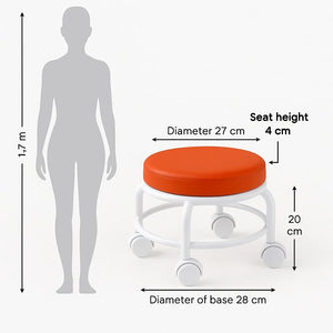 Kids Stool on Wheels