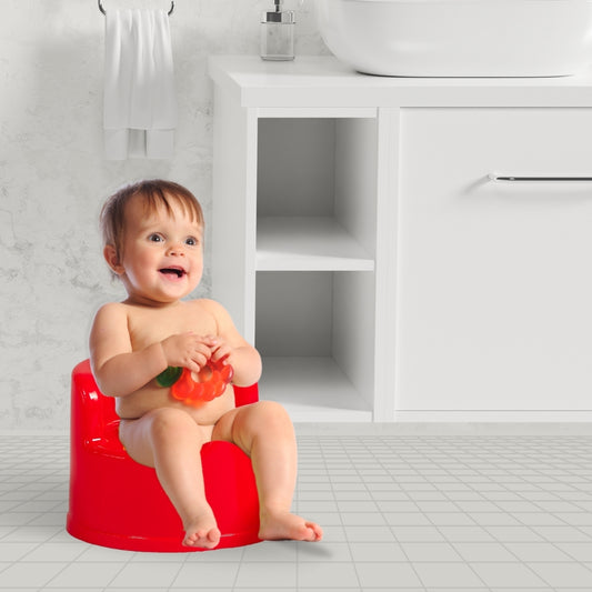 Potty Seat Chair With Lid