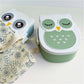 Small Plastic Own Lunch Box  Multi Color Set of 2