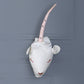 Pink Deer Wall Decor